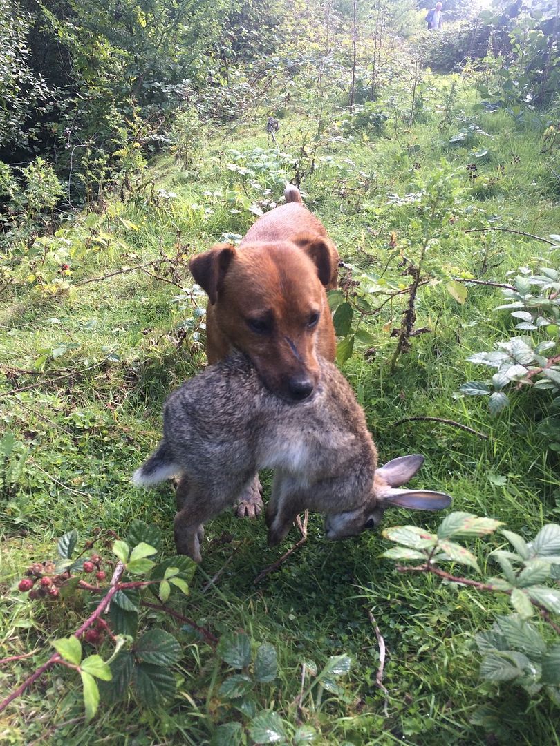 3AF55D65-5F93-4222-8867-16EE17ABA835_zps