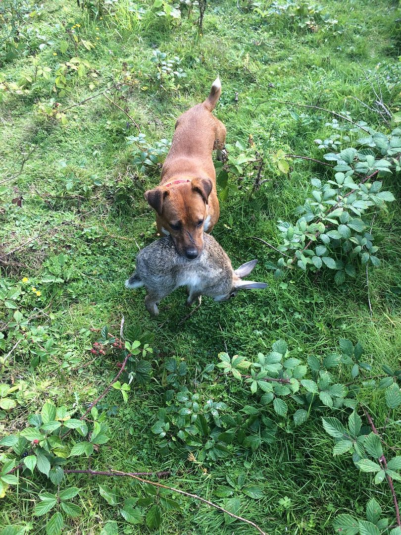 B82F7D43-5F84-4B94-B780-ABC074E04535_zps