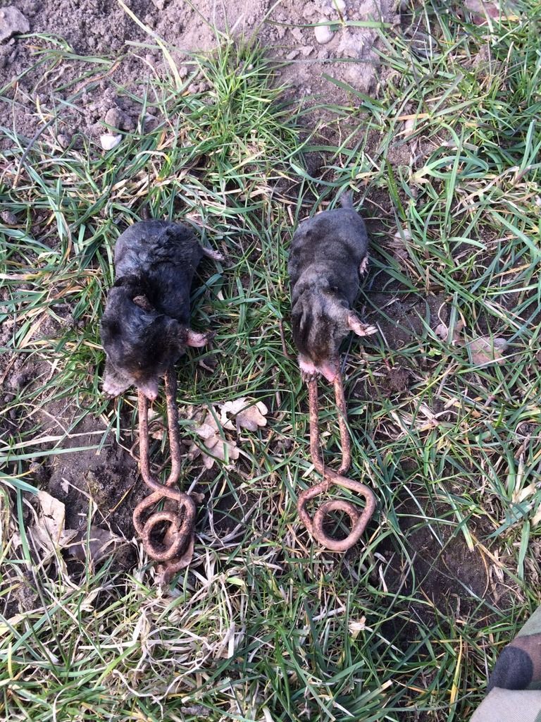 314F44AA-0587-4ADD-B748-5D97784D024E_zps