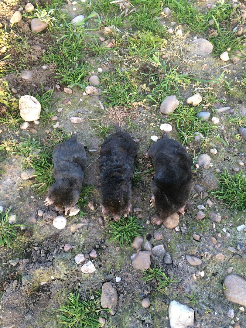 2288F8B6-A6E5-4AAE-ACF1-3B31F671EC4F_zps