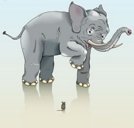 elephants01.jpg
