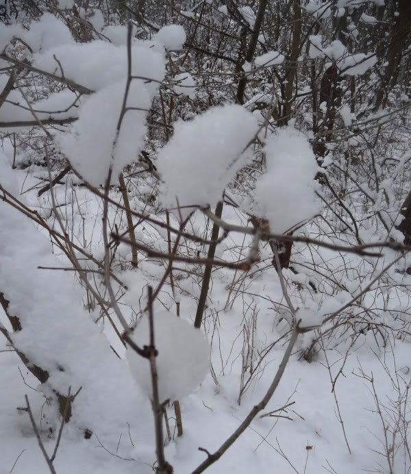candy snow
