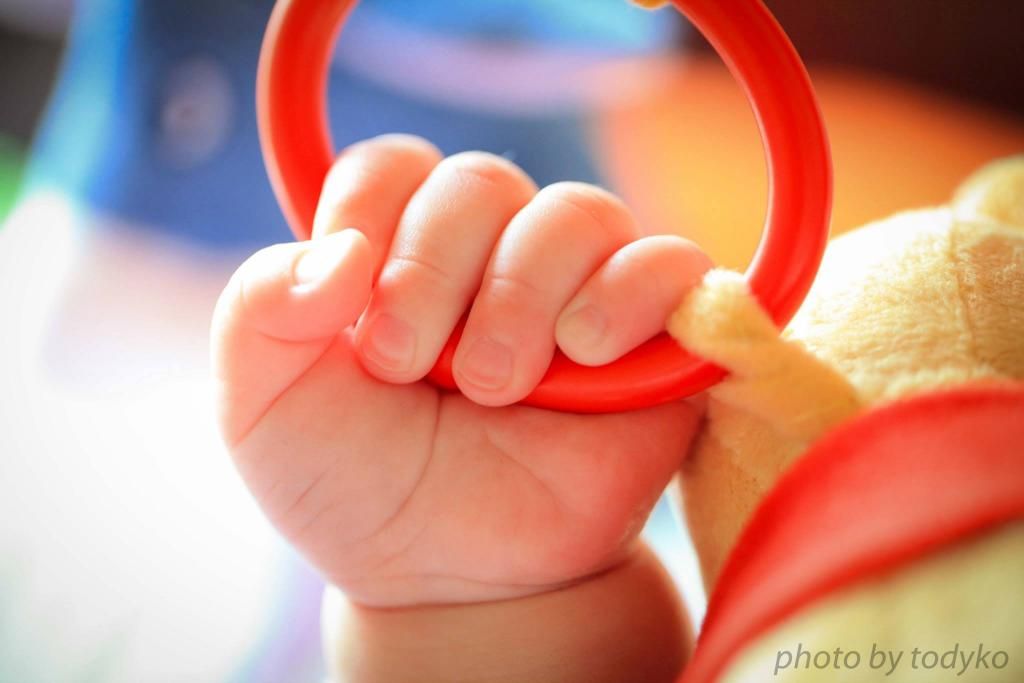  photo ngachimacroii.jpg