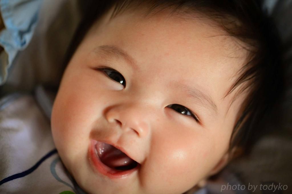  photo ngachimacroiii.jpg