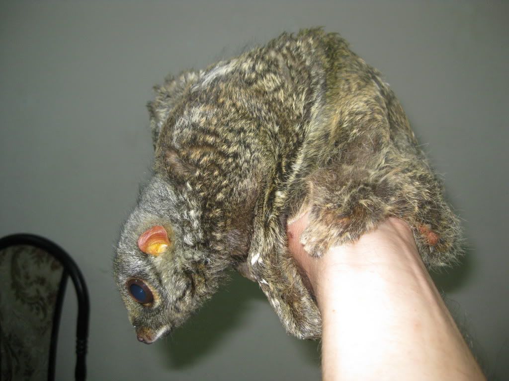 hàng cực độ bảng a,mời cả nhà cùng xem.