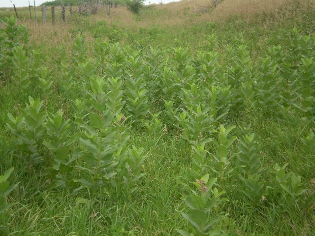  photo 005_zpsea302069.jpg