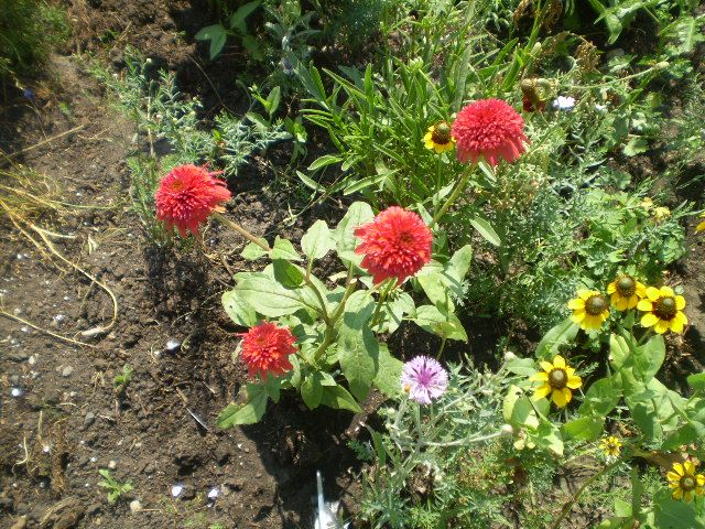  photo 035_zpse7a76403.jpg