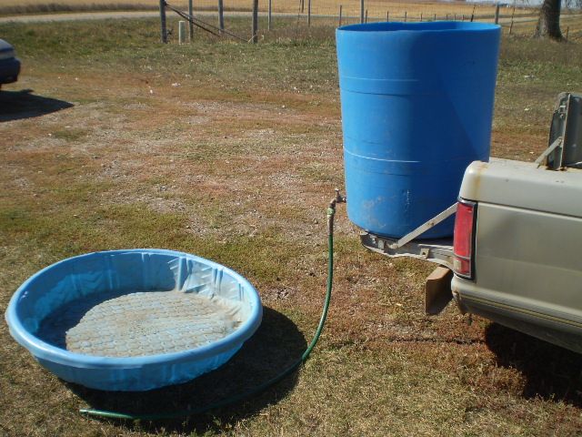 Just some random pictures ... - Sheep