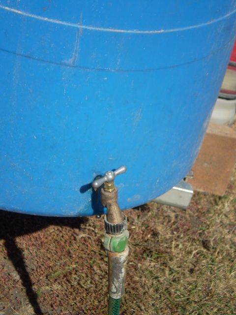 Just some random pictures ... - Sheep