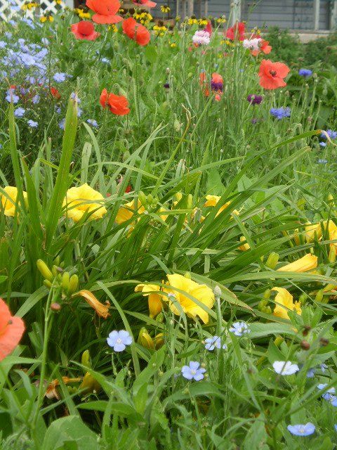  photo 264727_242597795751447_2840817_n_zps8f4cf7ca.jpg