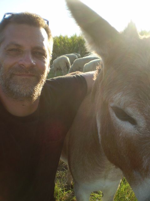 Just some random pictures ... - Sheep