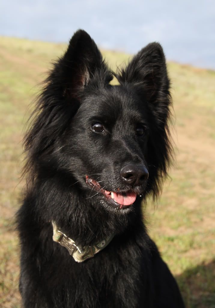 IMAGE: http://i824.photobucket.com/albums/zz169/madmxe/fb3canon.jpg