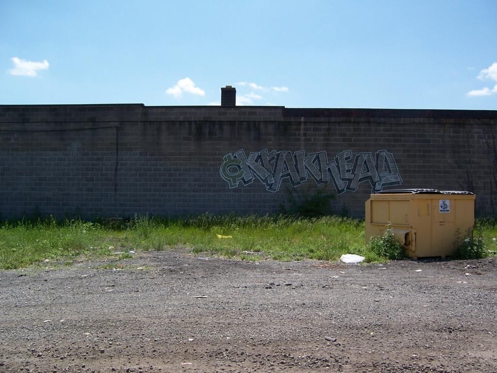 Image_4_zps1523036f.jpg