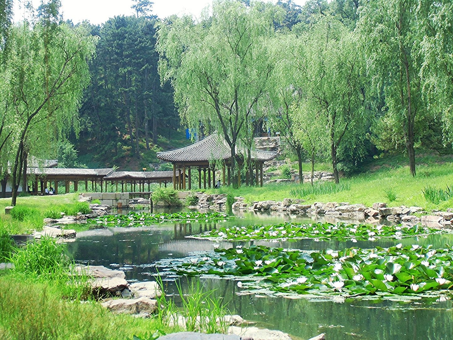 Нет, я кому попало врать не стану! Нет, я кому попало врать не стану!