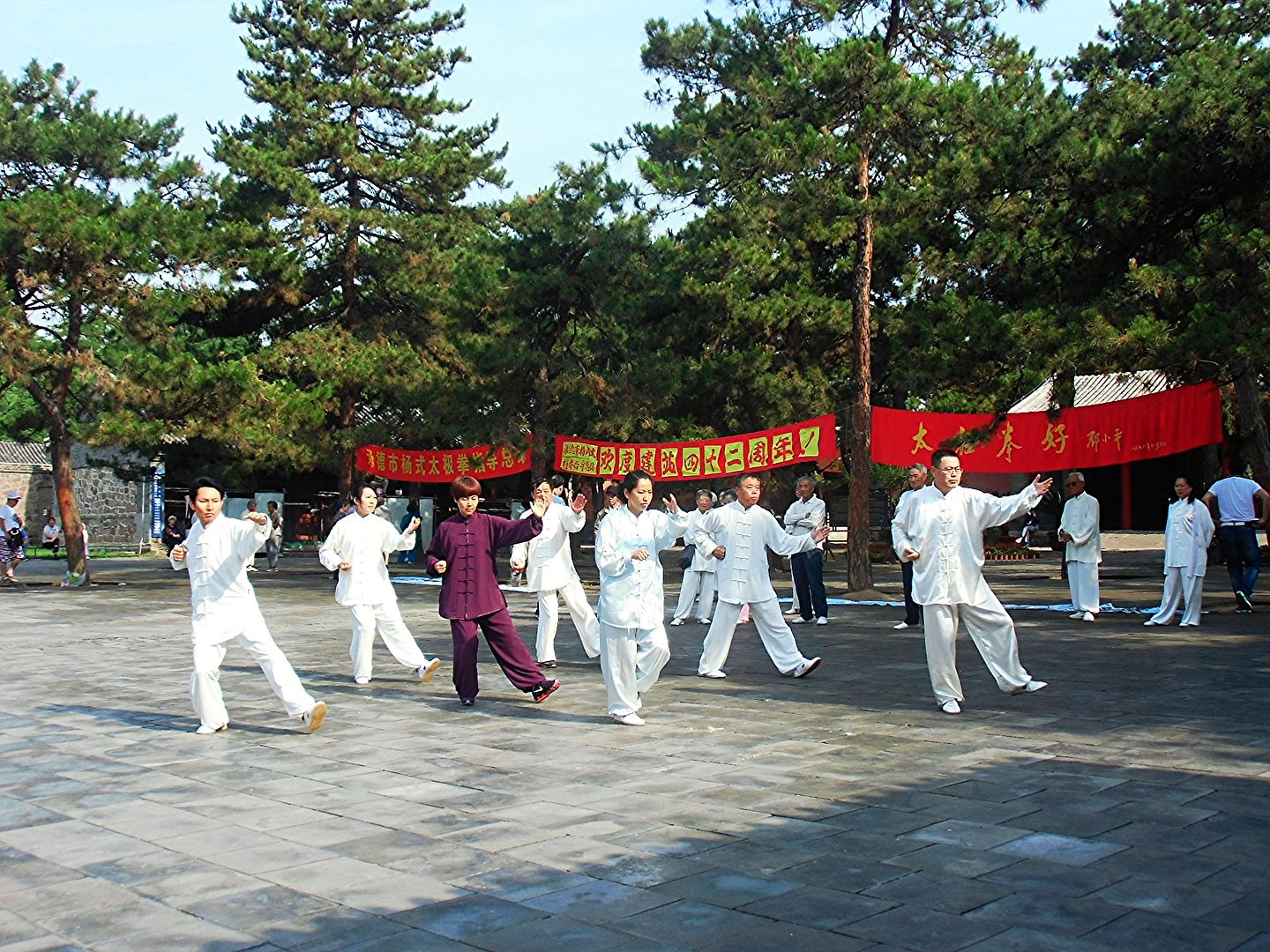 Нет, я кому попало врать не стану! Нет, я кому попало врать не стану!