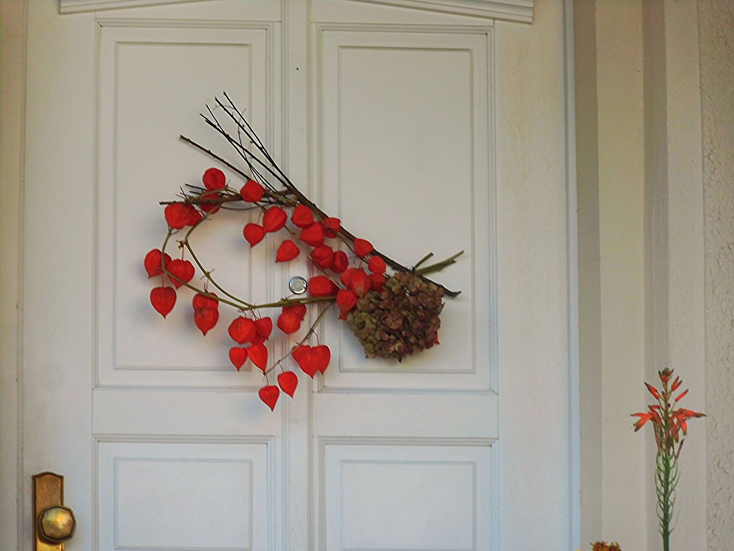 Жить будет. Медицина здесь бессильна! 