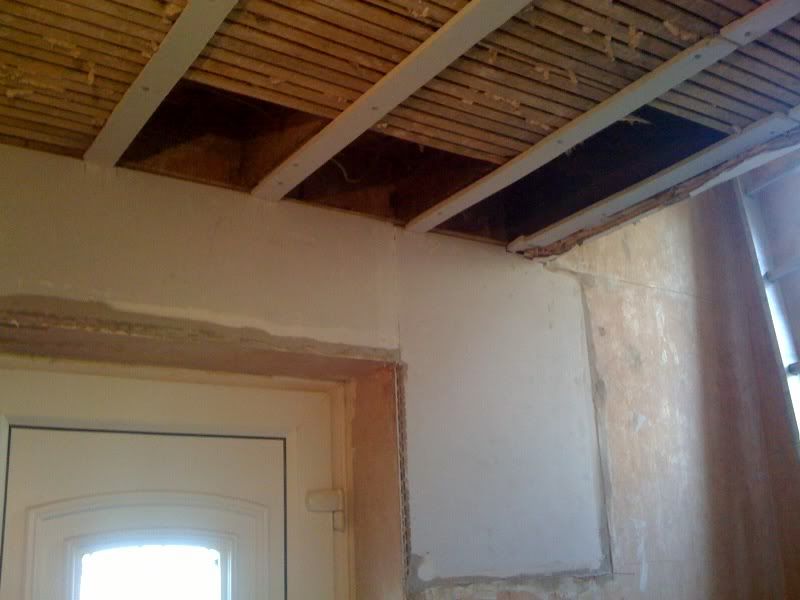 Lath Ceiling to drop or not!